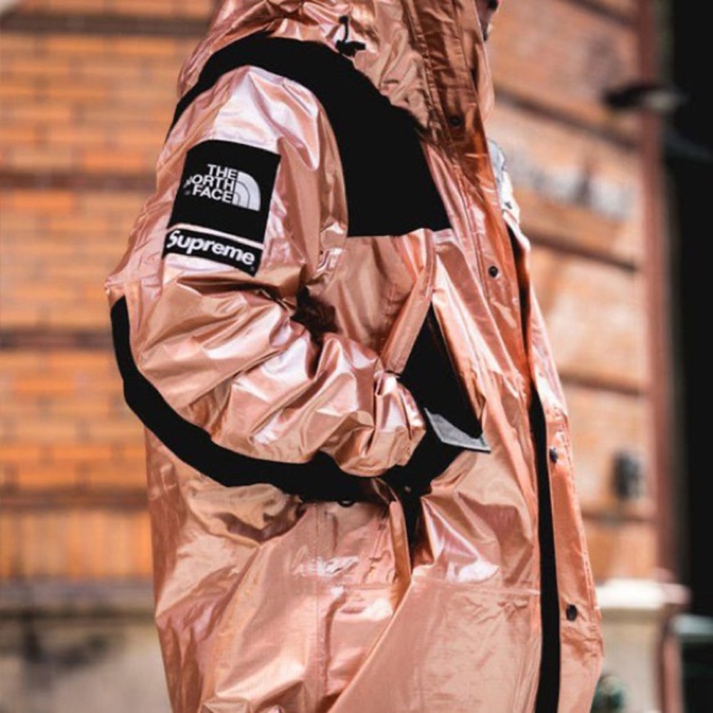 NWOT Supreme x The North Face Metallic Mountain Parka Rose Gold SUP-SS18…